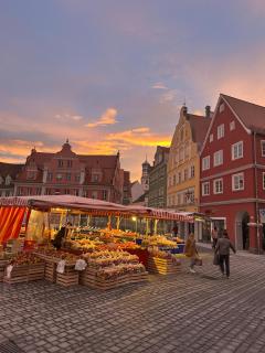 Innenstadt-Oase im Loftstil - Memmingen - 8