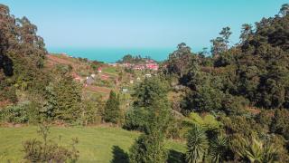 Quinta São Jorge - São Jorge - 8
