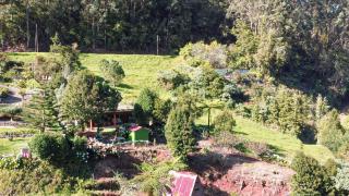 Quinta São Jorge - São Jorge - 6