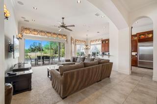 Homestead Sycamore - 2