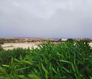 Dammuso Grecale - Lampedusa - 6