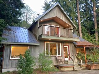 Mt Baker Rim Cabin 70 A pet friendly vacation home with a hot tub and wifi - Deming - 0