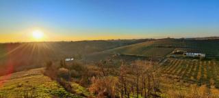 Brenta - vino, relax, sapori e colline da sogno - Castagnole Monferrato - 4