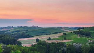 Brenta - vino, relax, sapori e colline da sogno - Castagnole Monferrato - 5