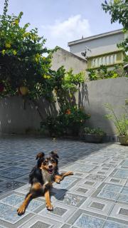Immersive Homestay Ninh Binh - Văn Ha - 5