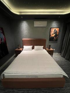 Elite enclave Travel pin - Lahore - 3