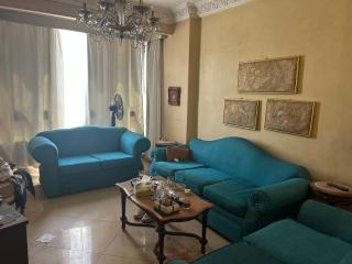 Nile view appartment at elmanyal el roda cairo - 6