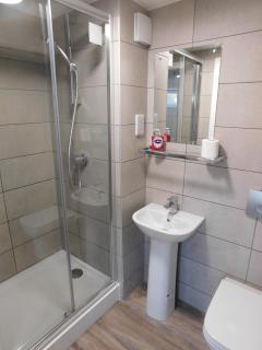 Flat 1, 1 Hampton Lane - Bristol - 2