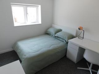 Flat 1, 1 Hampton Lane - Bristol - 5