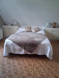 La chambre aux papillons - Huismes - 0