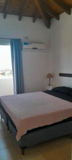 Vista Andina Carriles 2pax - Mendoza - 7