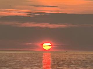 Lyxiga hem mitt i Gamla Viken, hög standard - Viken - 1