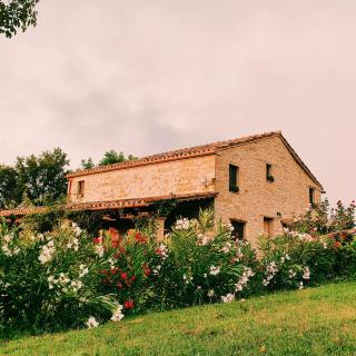 San Isidore - Penna San Giovanni - 8