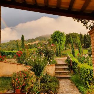 San Isidore - Penna San Giovanni - 1