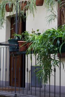 Cozy Studio Apartment- Navigli - 5