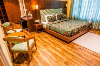 Eton villa - Srinagar - 6