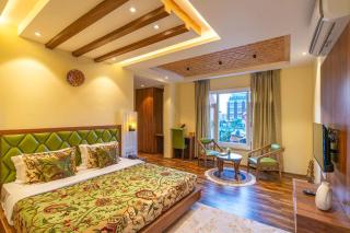 Eton villa - Srinagar - 4