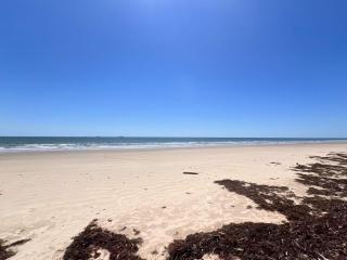 Bellamy's Retreat - Wake, Walk, Surf the Waves! - 4