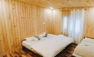 Hotel Himalayan - Madheso - 8