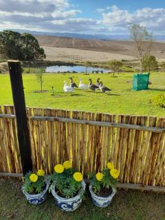 Blue Window Shedhouse - Hartebeesrivier - 4