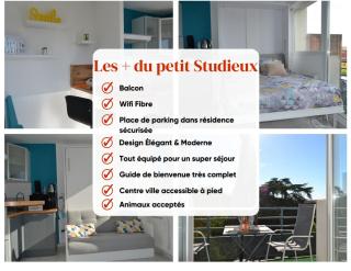 Le petit studieux - Parking - Animaux acceptés - Centre ville accessible à pied - 6