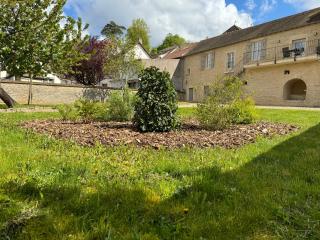 La Maison des Belles Filles - Pernand-Vergelesses - 8