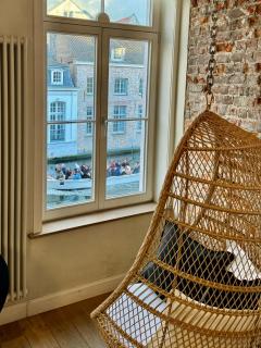 Sleeping Swan - Bruges - 7