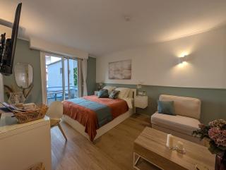 Luxury studio next to beaches and old town Antibes - Antibes - 6