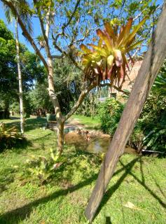 Hospedagem Sítio das Águas Paraty - Paraty - 9