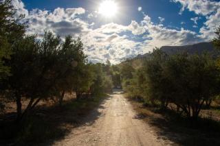 Rumali Farm & Cottage - 4