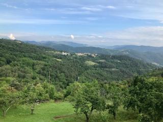 Gîte La Verdure - 9