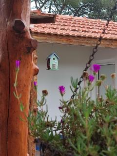 Casinha do pinhal - Colares - 9