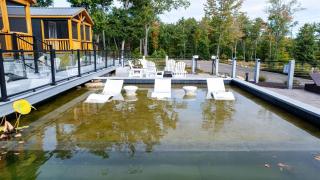 WOOD THRUSH LIMIT 3 cabin - North Sebago - 6