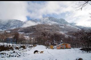 Himalayan Huts - Srinagar - 6