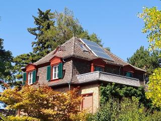 Ferienwohnung Unterm Tulpenbaum - Müllheim - 9