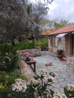 Sofias cottage - Elliniko - 5