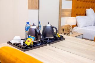 Hilton Palace Hotels - Kano - 6