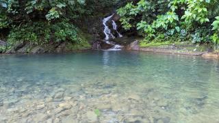 Jungle Oasis w River, Hammocks and Made-to-Order Cuisine - Savegre - 4