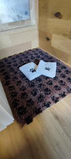 Ferienhaus Möhneaue Urlaub mit Hund - 7