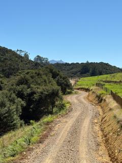 White Star Station Farm Holiday Park - Coromandel - 9