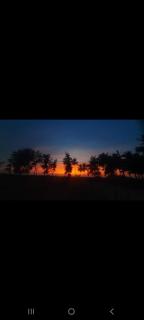 Honnavar Beach tent house stay - Haldipur - 4