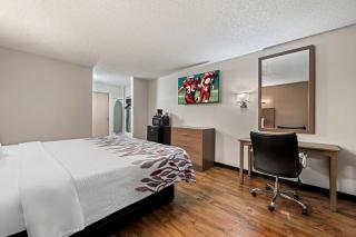 Red Roof Inn Charlotte - University - Charlotte - 2