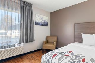 Red Roof Inn Charlotte - University - Charlotte - 7