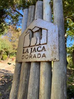 La Jaca Dorada - Bariloche - 8