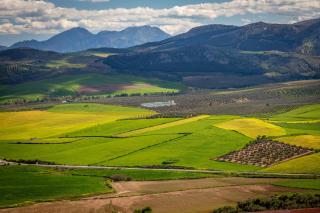 Casa La Calera - Adults Only 15 plus - Teba - 4