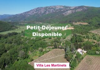 Villa Les Martinets-Piscine-Jacuzzi-Music-Lumières-Voie Verte-Gorges d'Héric-Massif du Caroux - Le Poujol-sur-Orb - 0