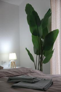 Anti-Age Apartmani - Bijeljina - 7