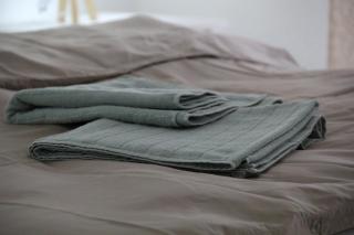 Anti-Age Apartmani - Bijeljina - 1