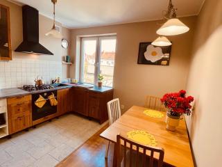 Słoneczny Apartament przy Starym Mieście - Danzig - 7
