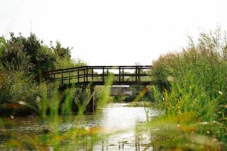 Resort Land & Zee - Scharendijke - 3